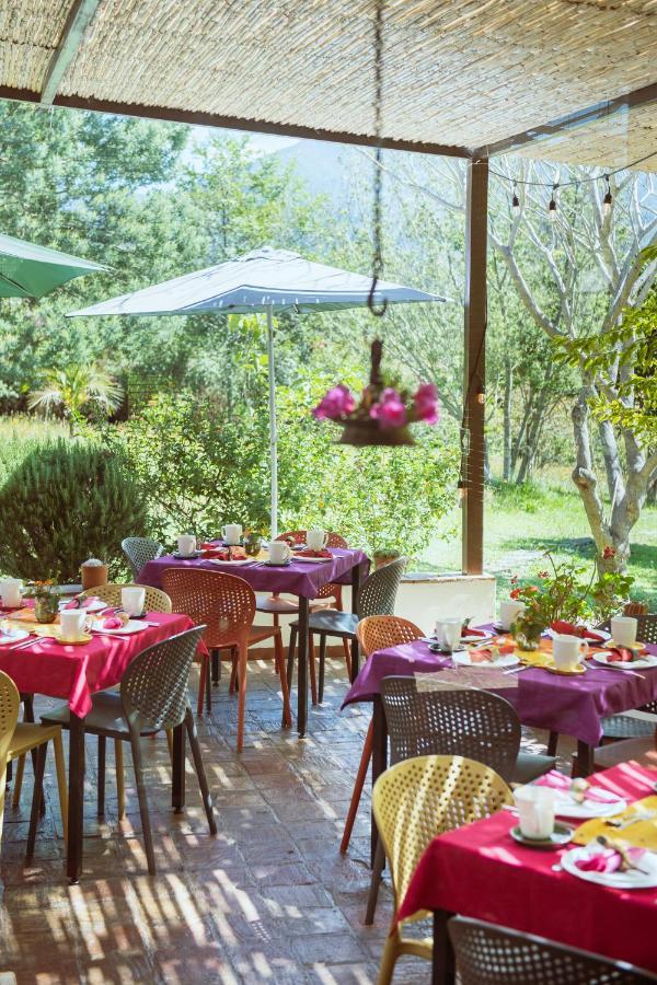 Passadhi Ayurveda & Yoga Retreat 호텔 비야 데 레이바 외부 사진