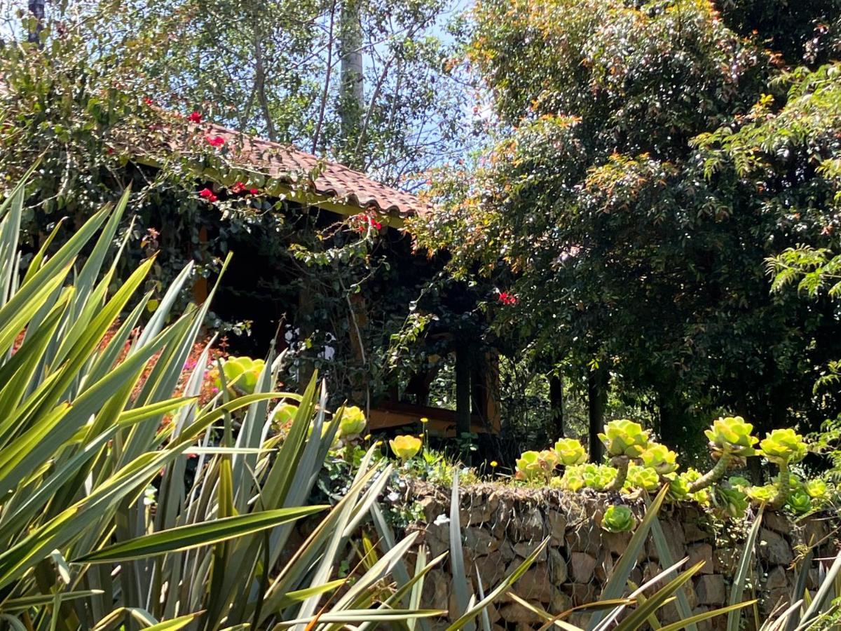 Passadhi Ayurveda & Yoga Retreat 호텔 비야 데 레이바 외부 사진